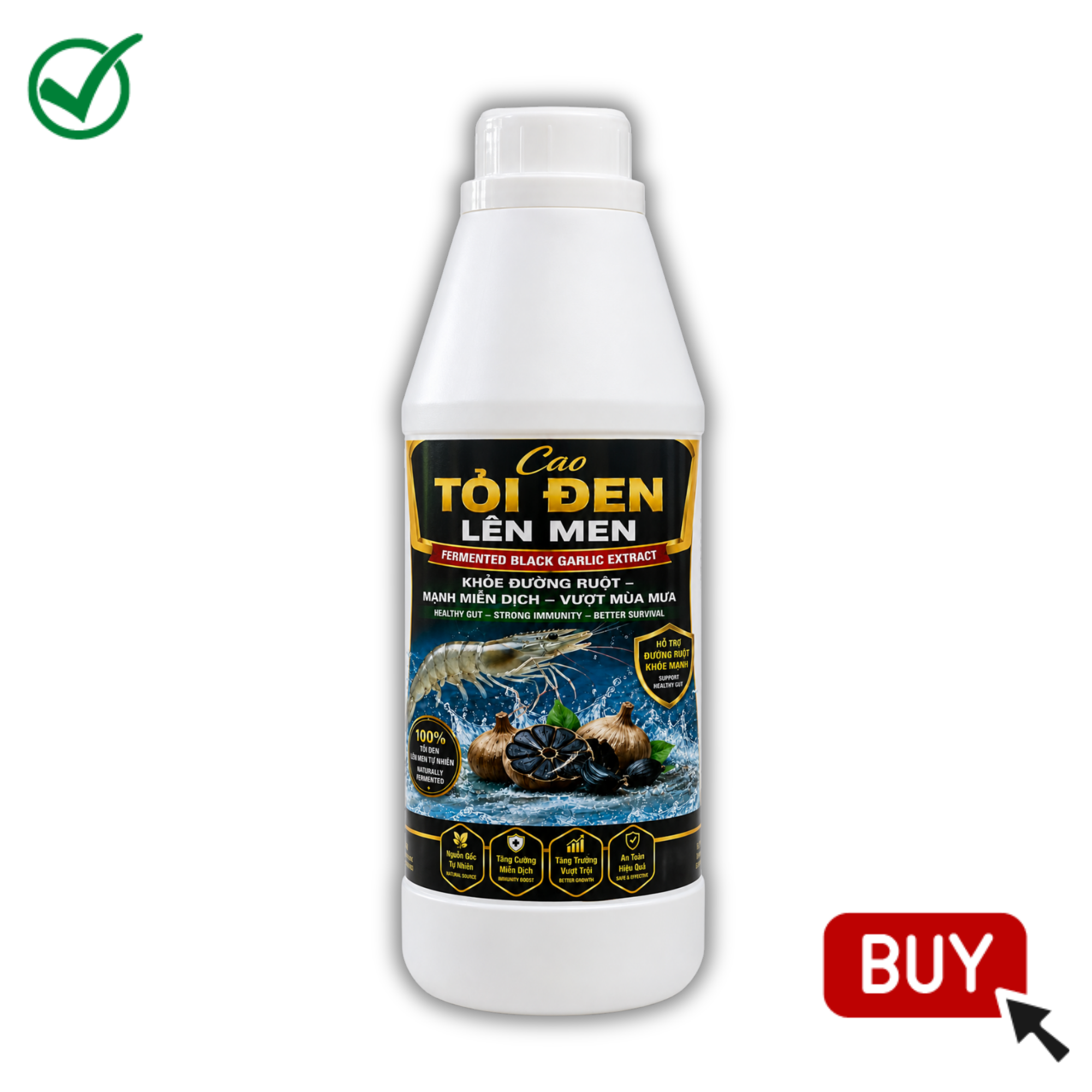 CAO TỎI ĐEN LÊN MEN