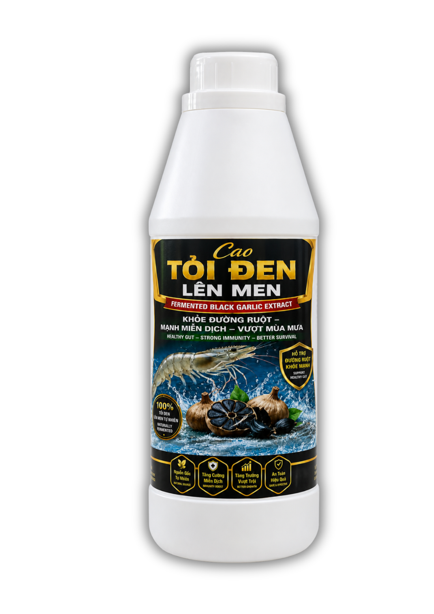CAO TỎI ĐEN LÊN MEN