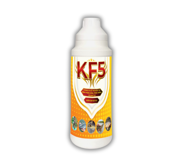 KF5
