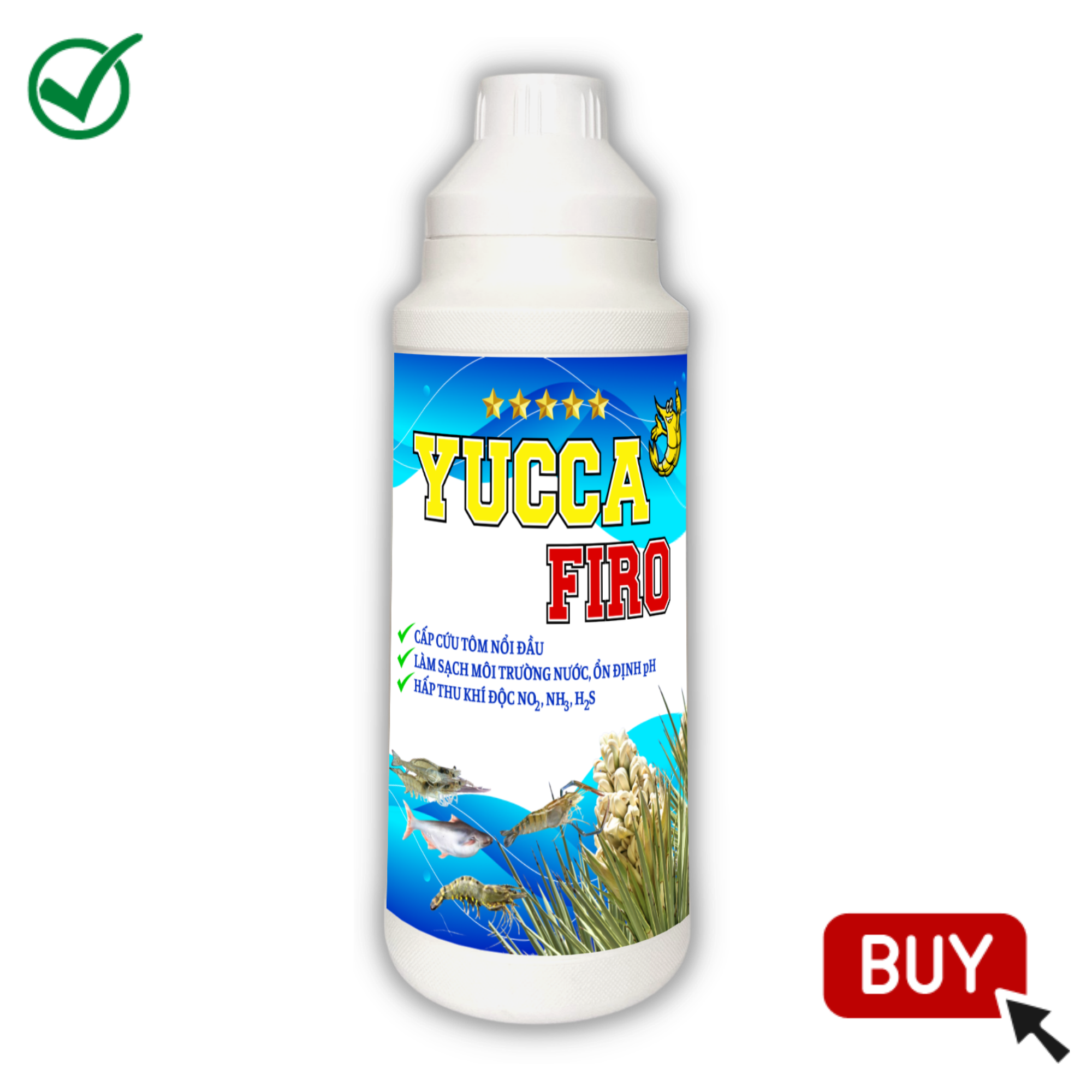 YUCCA FIRO