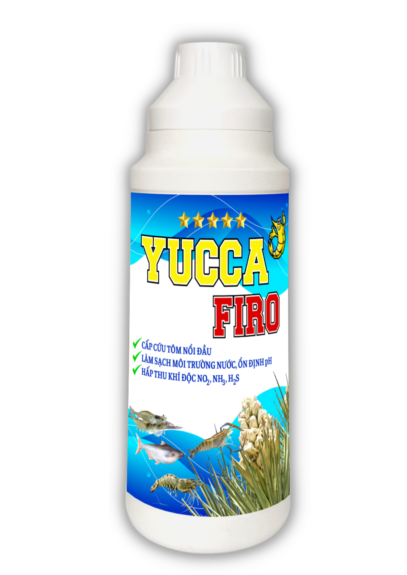 YUCCA FIRO