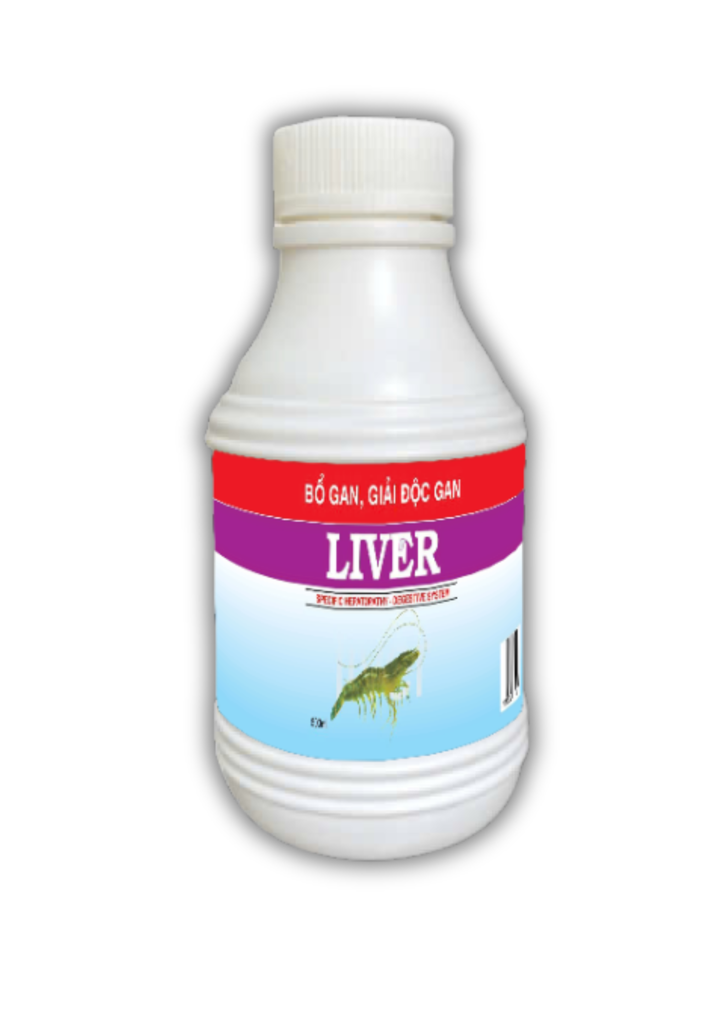 LIVER